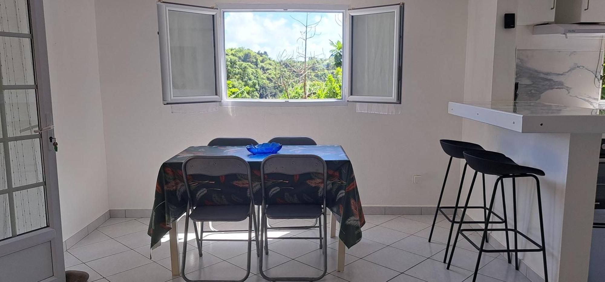 Grand T2 De Bas De Maison Conviviale Et Calme Appartement
