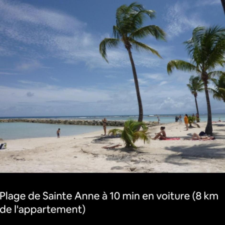 Appartement Grand T2 De Bas De Maison Conviviale Et Calme